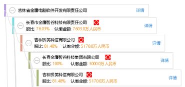 吉林省金鷹電腦軟件開發(fā)有限責(zé)任公司 專業(yè)計算機(jī)軟件開發(fā)服務(wù)